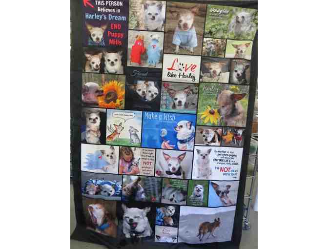 Collage of Photos Sherpa Throw w/Harley & Teddy