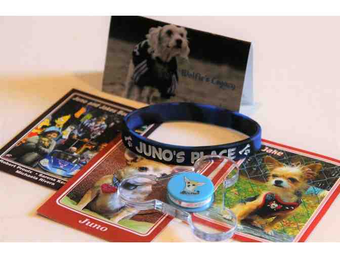 Juno's Bear plus Trading Cards and more!