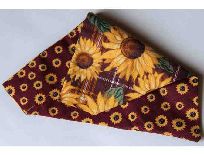 Custom Sunflower Dog Collar and Scarf