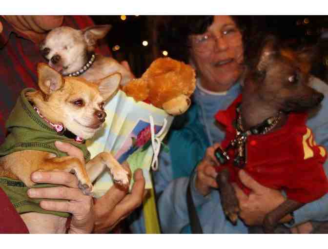 Juno's Bear plus Trading Cards and more!