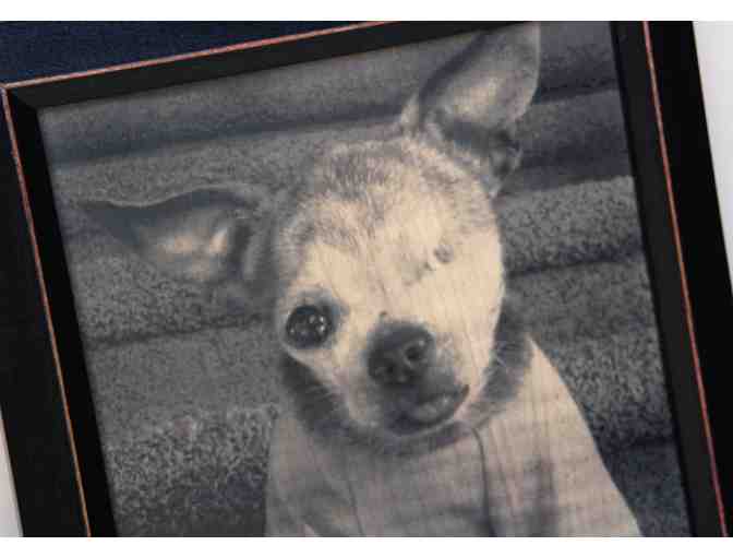 Harley - Portrait Engraved on Wood