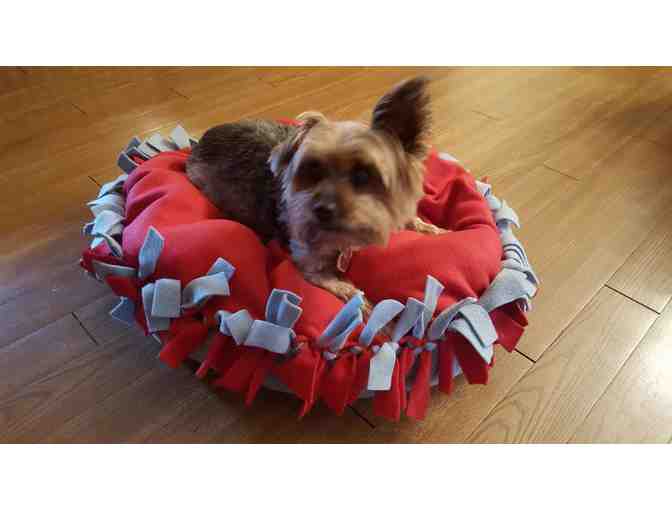 Harley's & Teddy's Cape-Inspired Bed