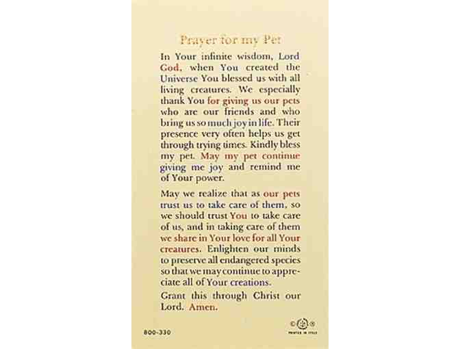 St. Francis of Assisi Prayer Card