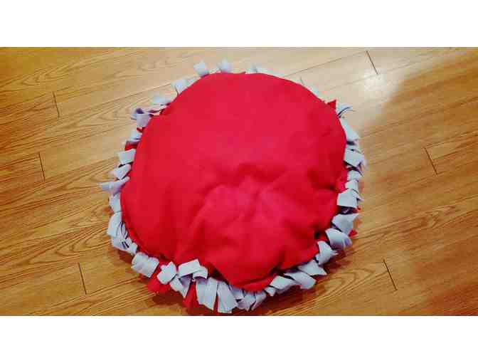 Harley's & Teddy's Cape-Inspired Bed