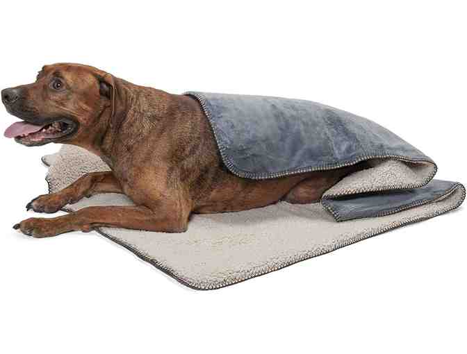 Large Self-Warming Blanket