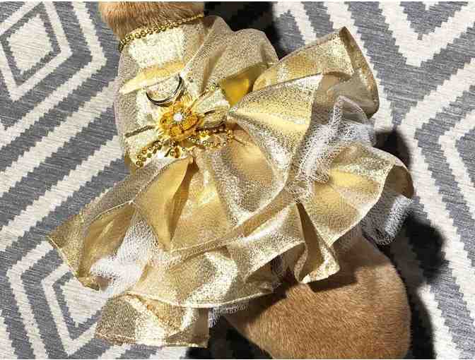 Beautiful Doggie Dress (by designer Ada Nieves)