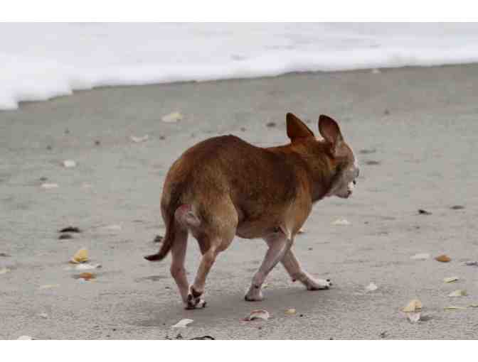 Quilt - Beach Village