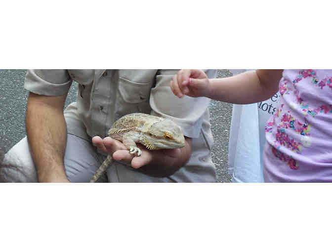 Grand Safari Reptile Party Package