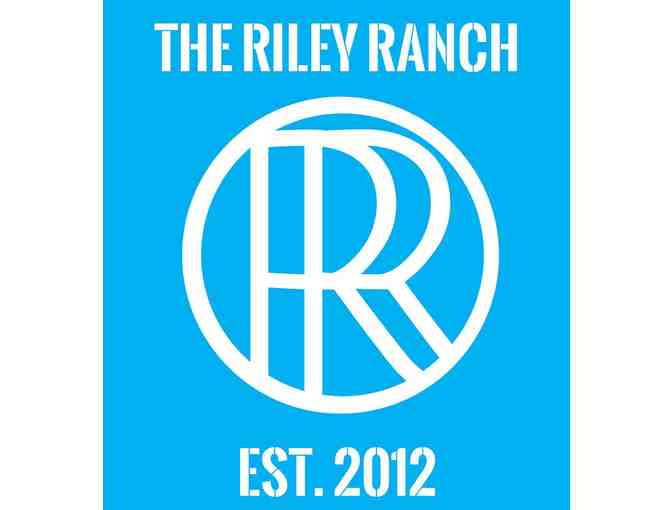 Family Fun Day in the Country for Harvard Families!