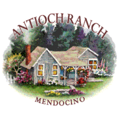 Jerry & Pat Westfall