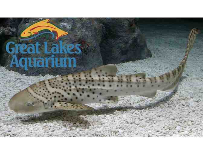 Great Lakes Aquarium - 2 Adult and 2 Children Passes