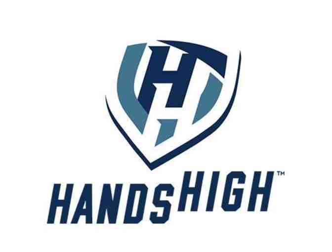 Minnesota Viking Black NFL Performance T- Shirt (Men L)