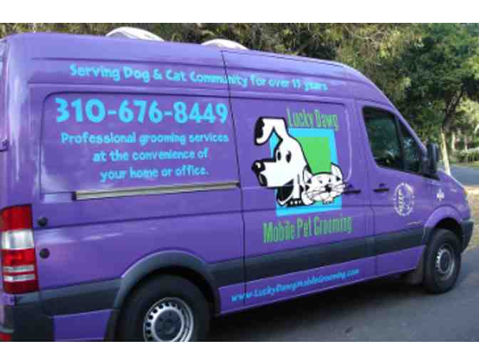 Lucky Dawg Grooming Salon - $60 certificate