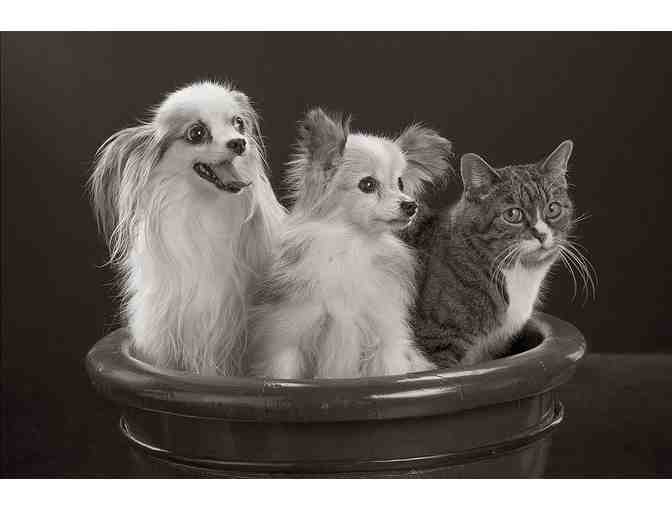 An Unconventional Portrait Session in Pasadena