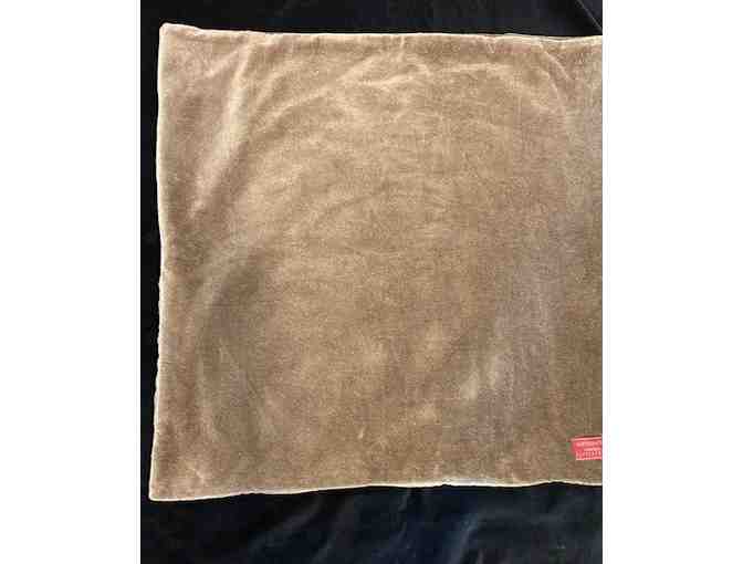 Pillow Covers (2) - Pottery Barn