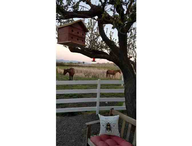 One Night Stay for Two at Applinger Farm