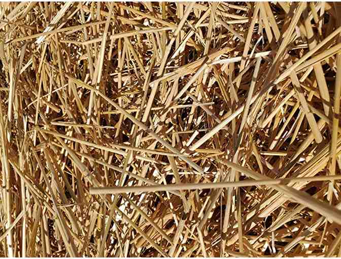 One Ton of Premium Quality Hay