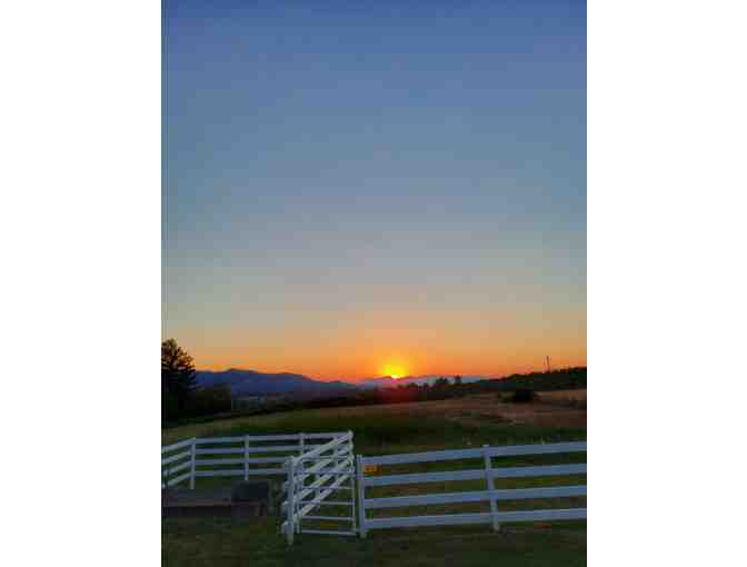 One Night Stay for Two at Applinger Farm