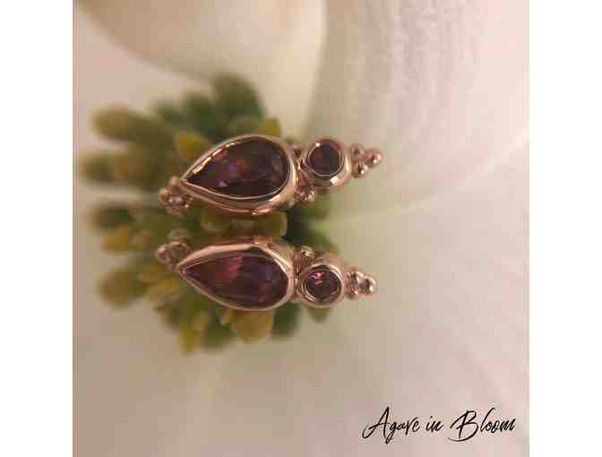 $250 Gift Certificate to Agave in Bloom