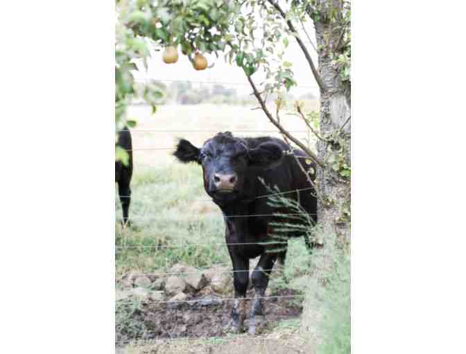 Rogue Picnic for Two