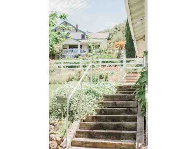 Rogue Picnic for Two