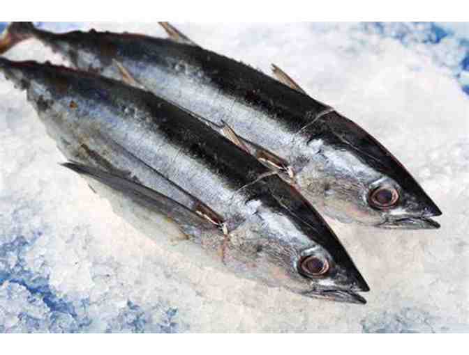 Can of Albacore Tuna