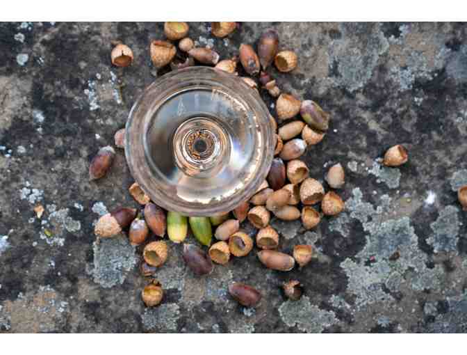 Flight and Bottle of Wine from Hummingbird Estate