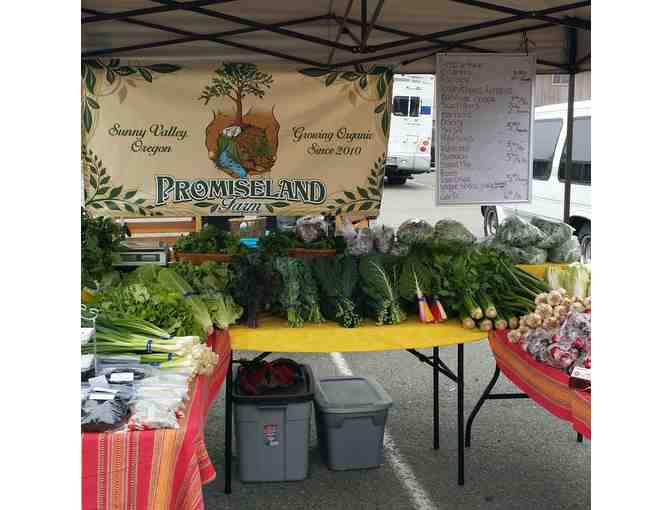 One Box of Organic Seasonal Vegetables from Promiseland Farms