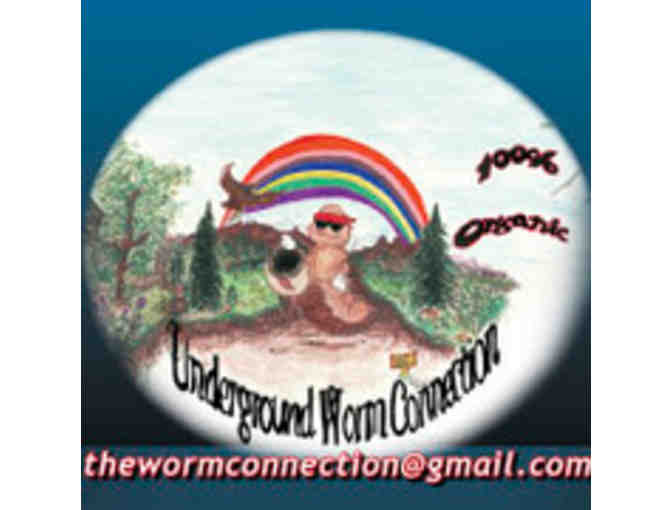Organic Worm Juice from Underground Worm Connection