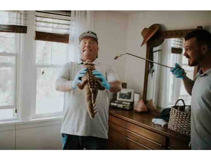 Exterior Pest Control Service from Safe Pest Control