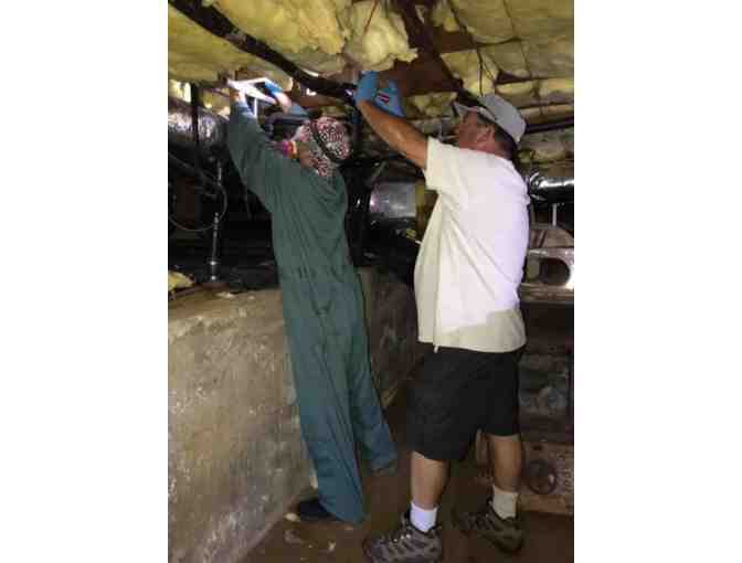 Exterior Pest Control Service from Safe Pest Control