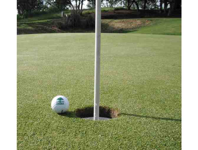 Round of Golf with a Cart each Month for a Year at Stone Ridge Golf Course