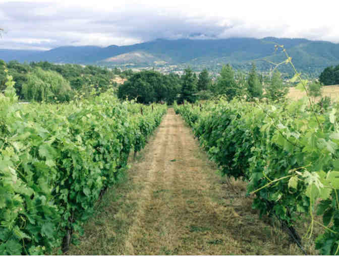 $100 Gift Certificate to Eliana Wines #2