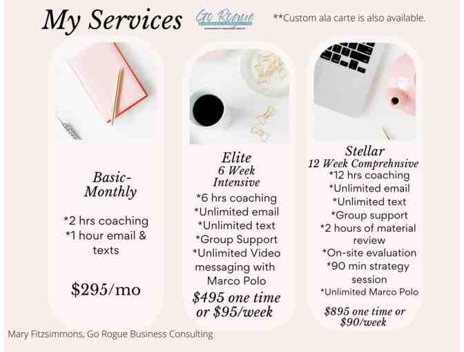 One Month of Business Consulting from Go Rogue