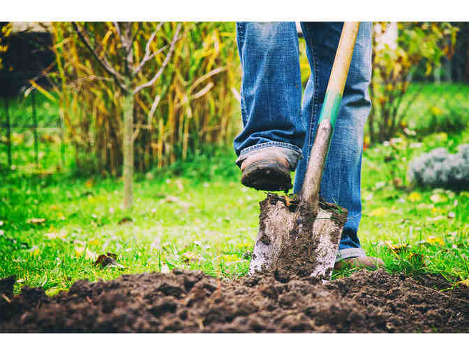 Three Seasonal Vegetable Boxes from Rogue Produce
