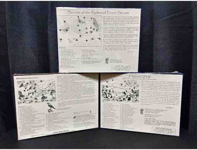 National Park Puzzle and Coloring Package #3