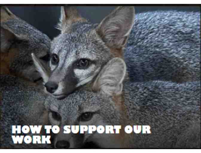 Family Package to Wildlife Images