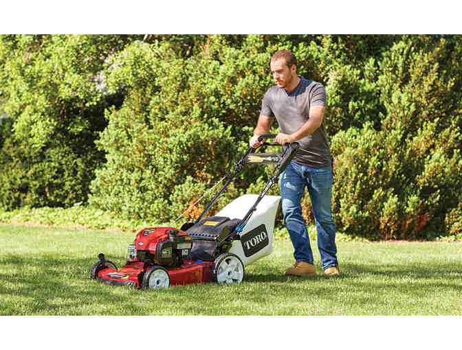 Yard Clean Up from Ray Walker