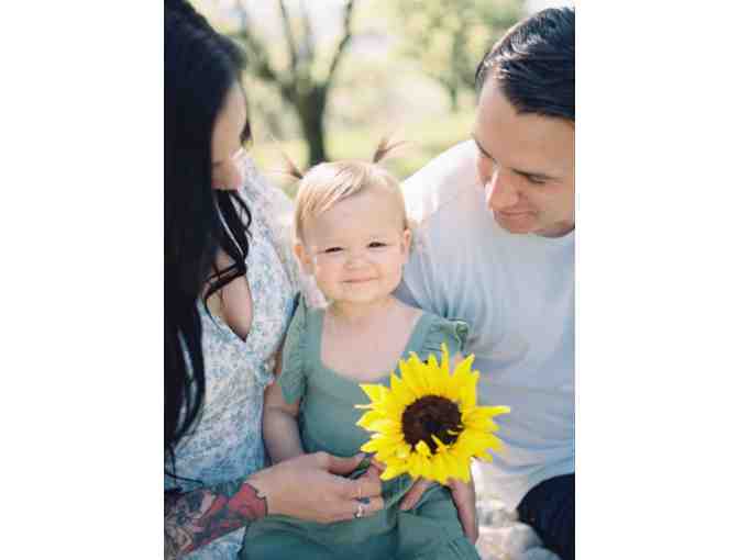 One Hour Photo Session from Emily Kirsten Photography