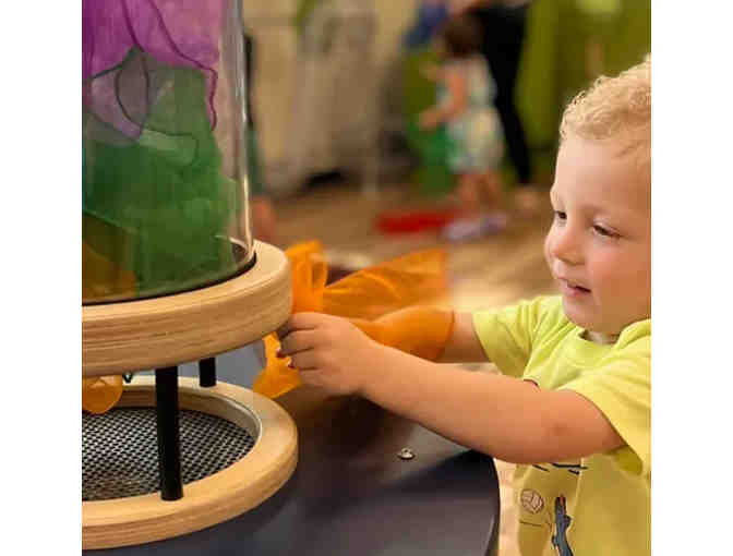 Family of Four (4) Day Passes to the Children's Museum