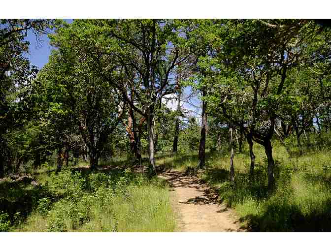 Personalized Guided Hike through Jacksonville #1 - Photo 3