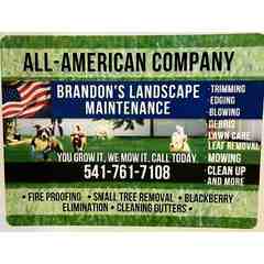 Brandon's Landscape Maintenance