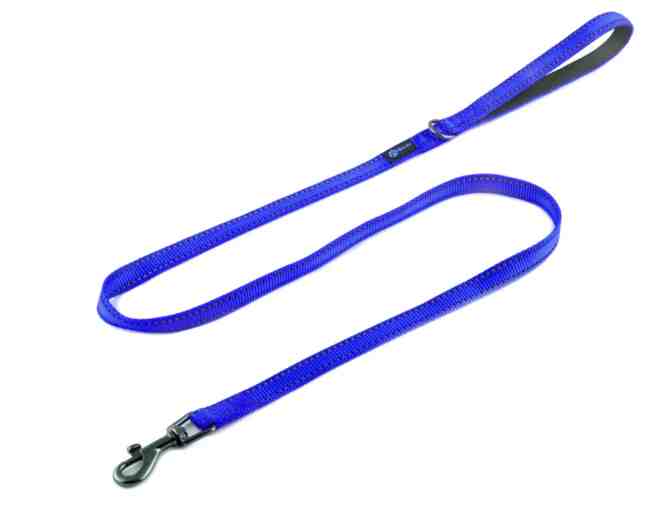 Max and Neo 6' leash for small dogs - Photo 1