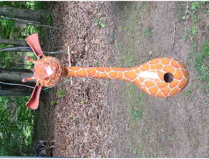 Animal Bird House Gourd