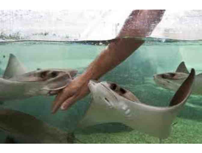 Teachers Gift of Time - Lansch/Smith, PreK3