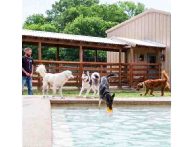 250.00 Gift Certificate to Tailwaggers Country Inn Pet Resort and Dog Gift Basket