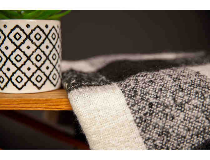 Oil/Acrylic of the Sequoias (8' x 10'), Cozy Blanket, and Succulent