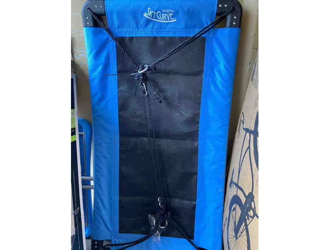 SkyCurve Platform Tree Swing