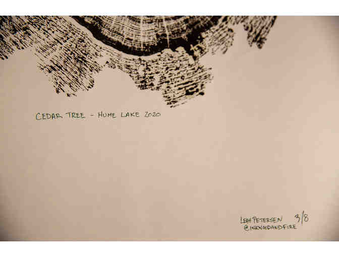 Cedar Wood Ink Print by Ink Wood and Fire