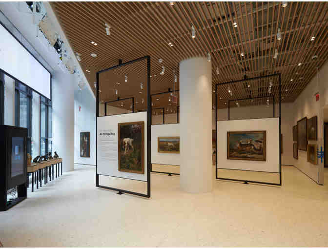 One Family Pass Visit to the AKC Museum of the Dog